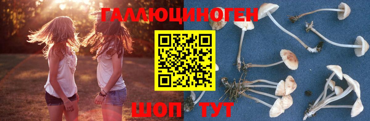 Галлюциногенные грибы мухоморы  Вход с VPN  Фрязино 