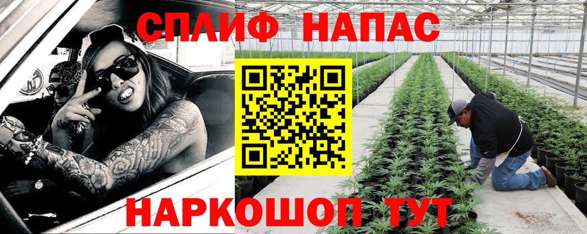 Бошки Шишки семена Фрязино